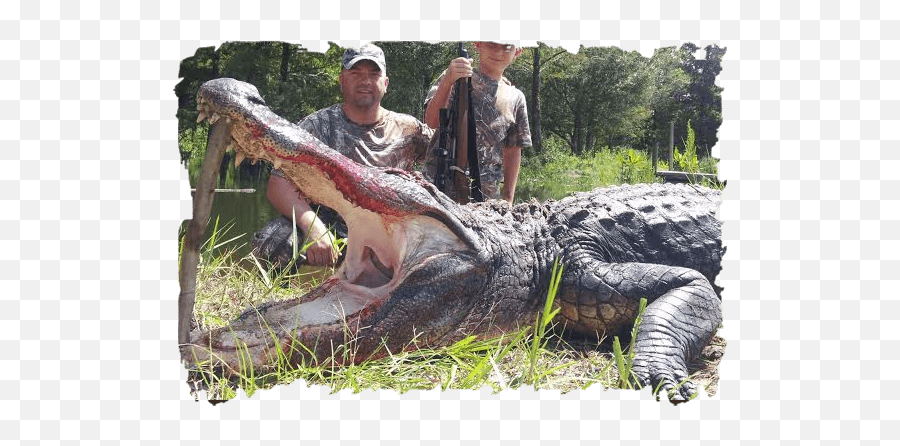 Alligator Hunting The Ultimate Florida Experience Emoji,Facebook Emoticons Alligator