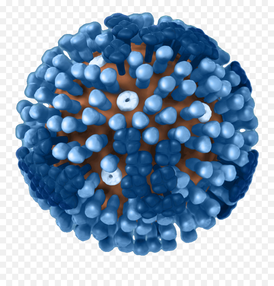 Cdc H1n1 Flu - Influenza Virus White Background Emoji,Virus Free Religious Emoticons Free