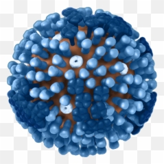Cdc H1n1 Flu - Influenza Virus White Background Emoji,Virus Free Religious Emoticons Free