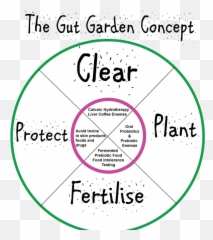 Gut Health Detox To Get Rid Of Candida Emoji,Tavistock Cleanse Colon Emotions