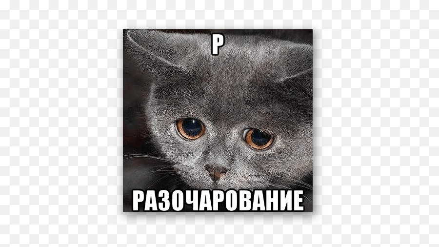 How To Remove The Story Of Each Other How The Events Are Emoji,How To Control Your Emotions Meme