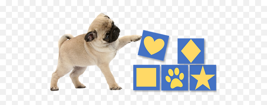 Terroux Dog Training Services Emoji,Dog Emotion Trigger