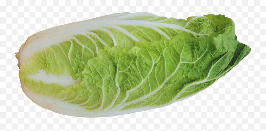 Half Cabbage Transparent Png Png Mart Emoji,Leafy Greens Emoji