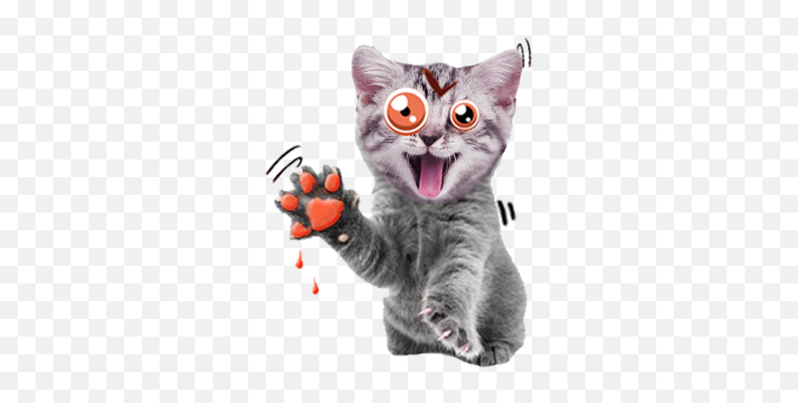 Game Catsticker - Cat Emoji For Imessage Cat Toy,Gray Cat Emoji