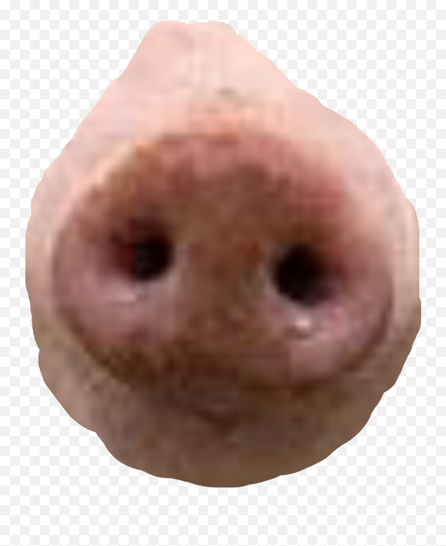 Pig - Pig Nose Png Emoji,Pig Nose Emoji
