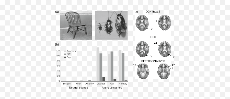 The Neurobiology Of Depersonalization Chapter 10 - Windsor Back Emoji,Neutral Emotion Words