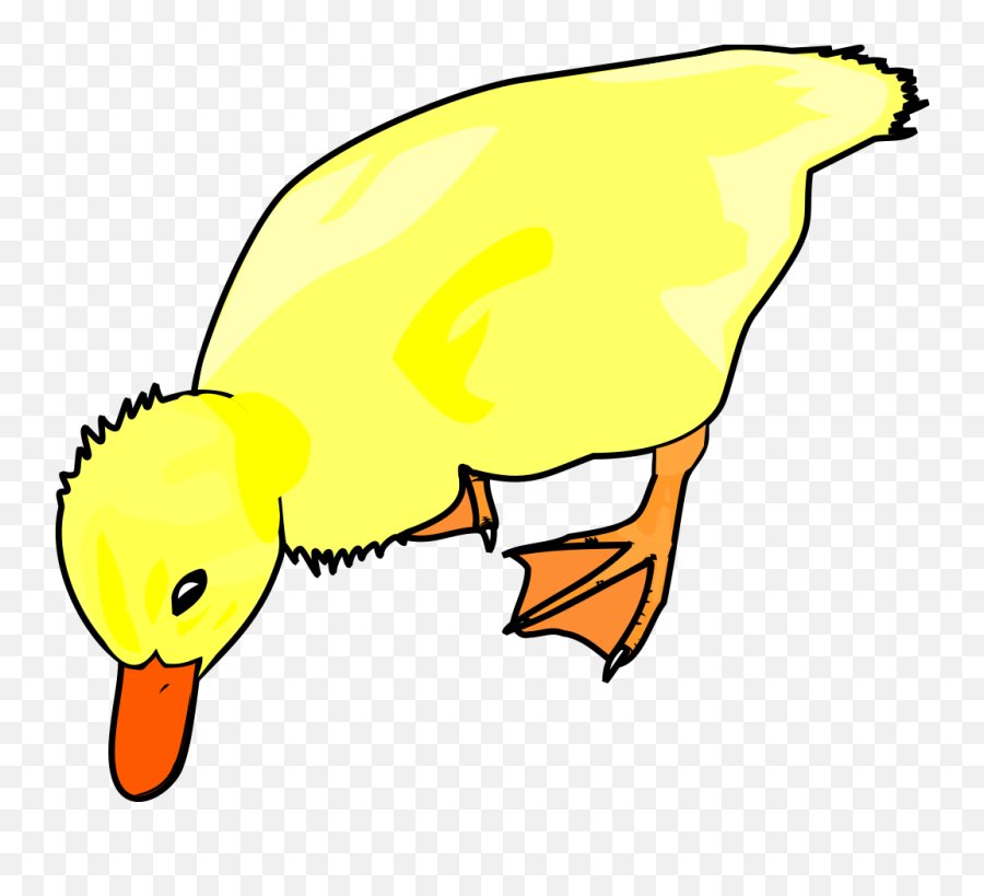 Chick Eating Png Svg Clip Art For Web - Download Clip Art Domestic Duck Emoji,Chick Movie Emoji