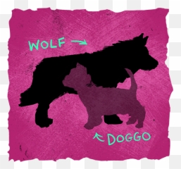 A Brief History Of How Dogs Evolved - Terrier Emoji,African Wild Dog Ears Emotions