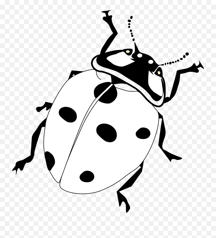 Clipart Animals Insect Clipart Animals - Realistic Ladybug Coloring Page Emoji,Zzz Ant Ladybug Ant Emoji