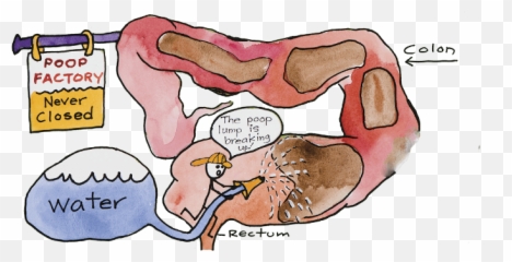 18 Colon Wealth Ideas - Colon Cleanse Enema Emoji,Tavistock Cleanse Colon Emotions