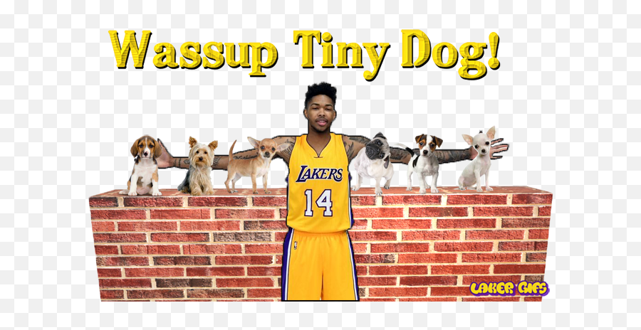 Sirronstuff Lakersgifs Animated Laker Gifs Laker Memes - Dog Emoji,Unimpressed Emoticon