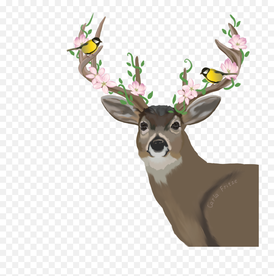 Deer Animals Antlers Floral Sticker By Carla - Decorative Emoji,Whitetail Deer Emoji