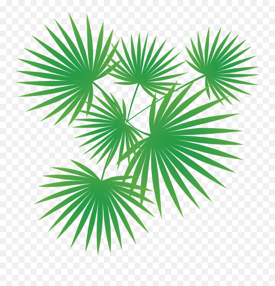 Palm Tree Vector Vector Images Icon Sign And Symbols - Palm Trees Vector Png Emoji,Palm Tree Emoji