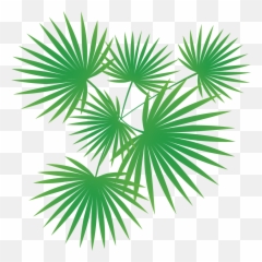 Palm Tree Vector Vector Images Icon Sign And Symbols - Palm Trees Vector Png Emoji,Palm Tree Emoji