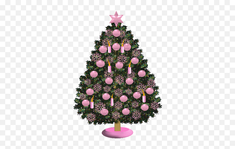 Beautiful Picture With Christmas Trees - Gif Decorazioni Di Natale Emoji,Christmas Ascii Emoticons