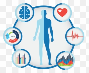 Minddep Draws On Brain And Body Based Scientific Assessment - Brain And Body Clipart Emoji,Stick Figure Emotion Stress