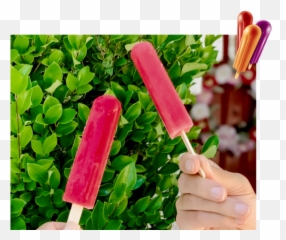 Popsicle Frank Epperson And The Popsicle Story Emoji,Popsicle Emoticon Facebook