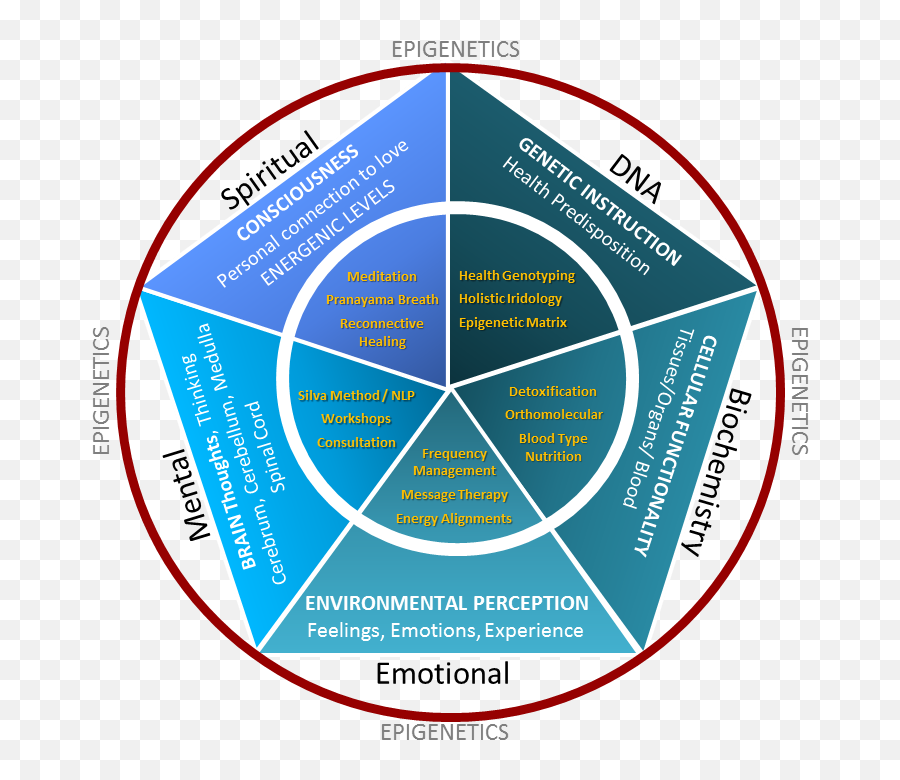 Mojave Health Your Naturopath Connection U2013 Getting You To Emoji,Emotions Frequency