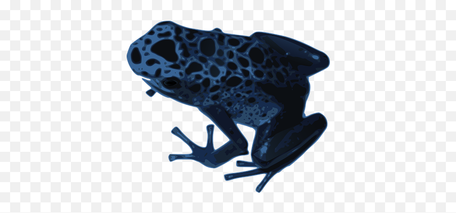 90 Free Toad U0026 Frog Illustrations - Pixabay Blue Frog Invisible Background Emoji,Frog Emoji Hat