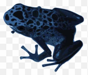 90 Free Toad U0026 Frog Illustrations - Pixabay Blue Frog Invisible Background Emoji,Frog Emoji Hat