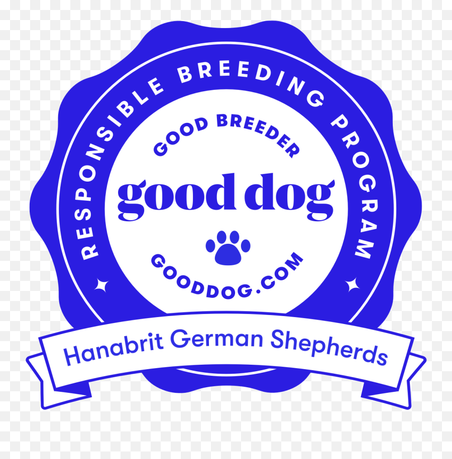 Hanabrit German Shepherd Dogs - Woodford Reserve Emoji,How To Tell German Shepherds Emotions By Their Ears