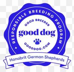 Hanabrit German Shepherd Dogs - Woodford Reserve Emoji,How To Tell German Shepherds Emotions By Their Ears