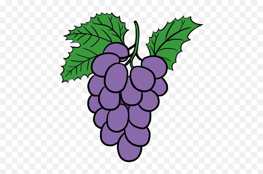 Fruit Trees And Plants - Grapes Cartoon Png Emoji,Plant Emoji Gifs