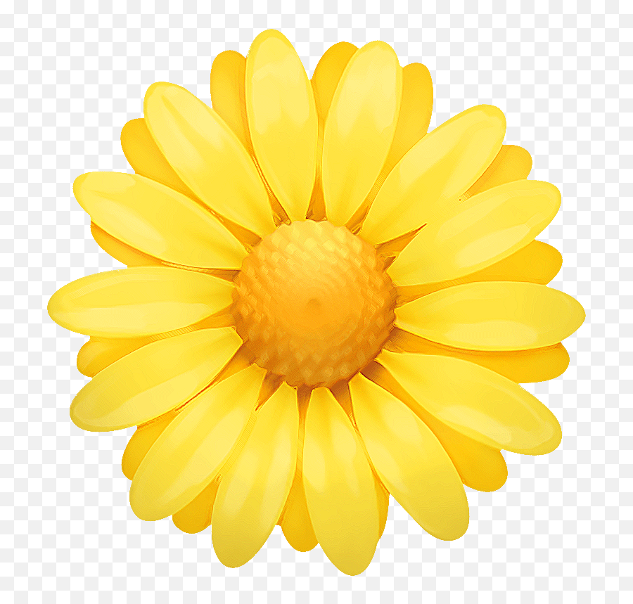 Easter Yellow Gerbera Flower For Easter Day For Easter - 720x720 Transparent Yellow Flower Emoji,Yellow Flower Emoji Png