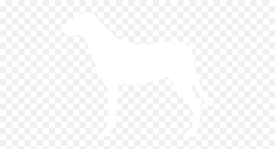 Prairie Path Pet Care - White Dog Icon Png Hd Emoji,Dogs And Cats Emotions