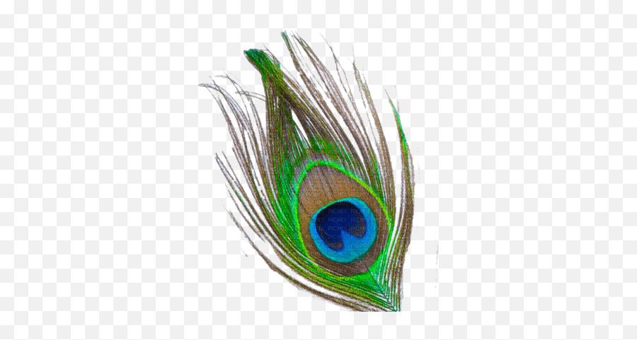 Peacock Feather Deco - Mor Pankh Png Emoji,Peacock Feather Ascii Emoticon