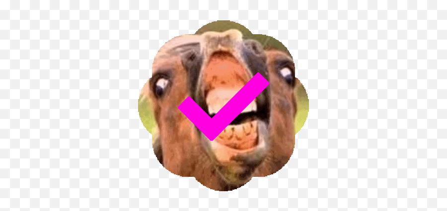 Custom Emoji List For Jorts - No Fooling Around Meme,Alf Emoji