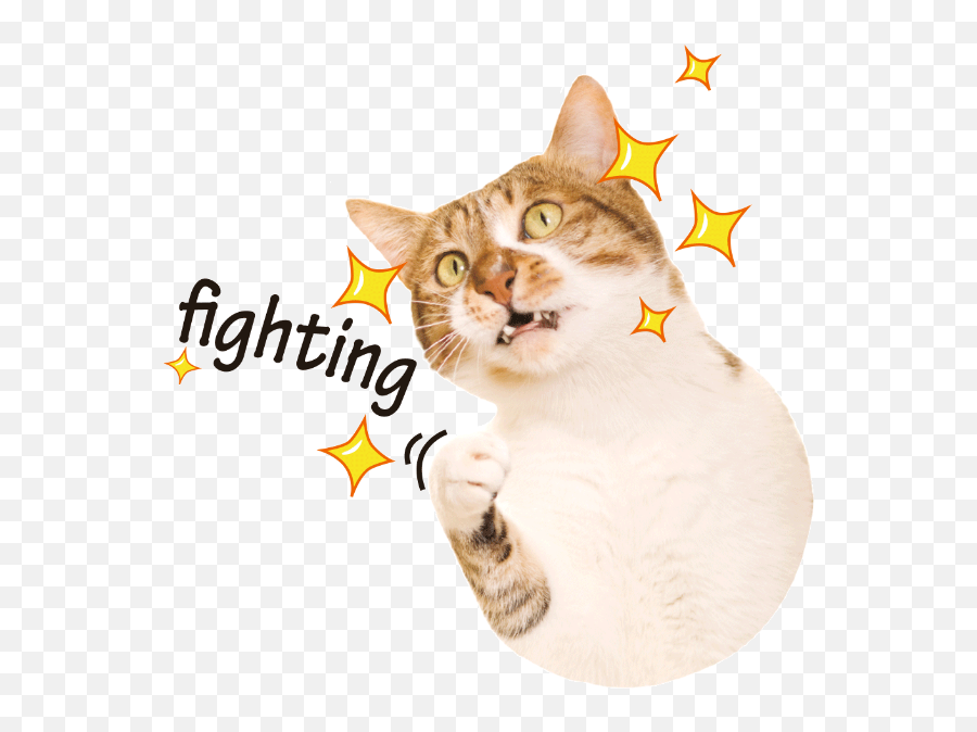 Free Cat Clip Art Customized - Photo Caption Emoji,Dancing Cat Emoji