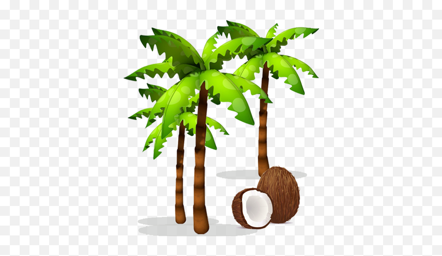 Coconut Miracle U2013 Live Long And Be Healthier Emoji,Coconut Emoji