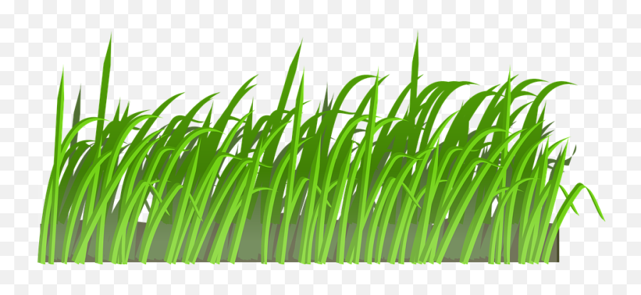 Clip Art Portable Network Graphics Transparency Lawn Image Emoji,Rice Paddy Emoji