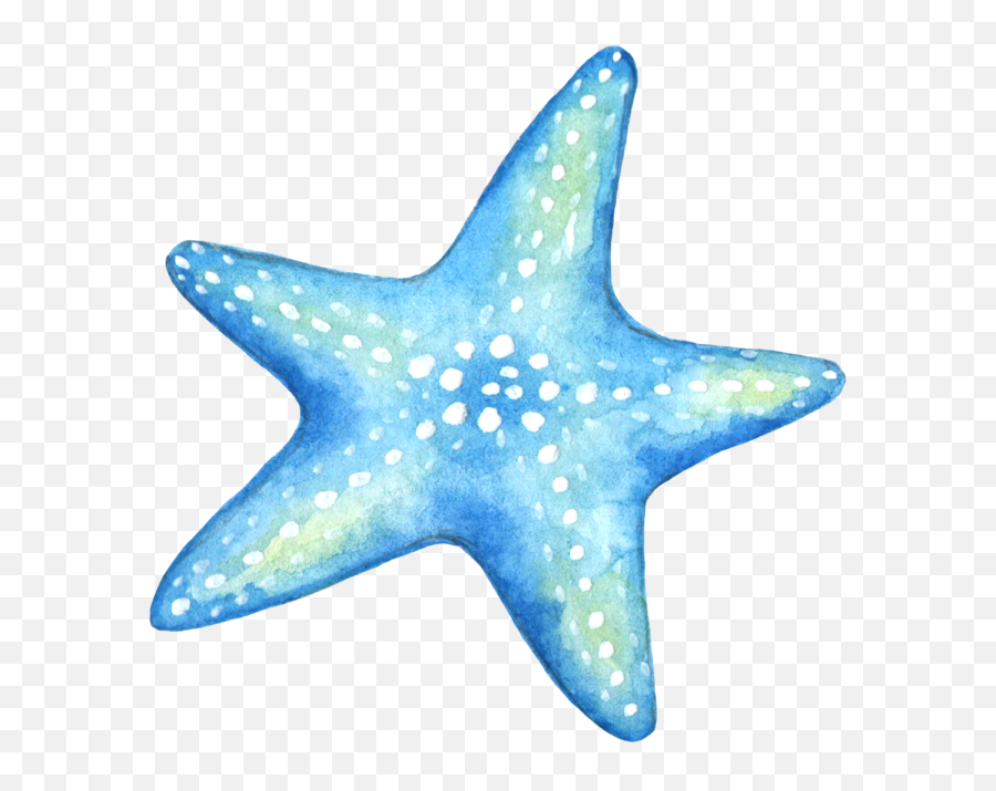 Starfish Blue Star Stickers Sticker - Fish In The Sea Quotes Emoji,Starfish Emoji