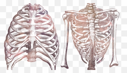 Chronic Costochondritis And The Link To - Best Way To Heart Is Between Emoji,What Are Repressed Emotions