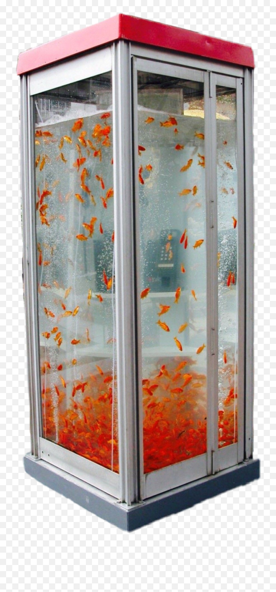 Phonebooth Fishtank Fish Fishes Go - Booth Art Installation Emoji,Phone Booth Emoji