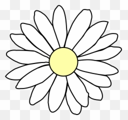 Painted Chamomile Bud Free Image - Silcare Fantasy Powder Emoji,Chamoile Emotions