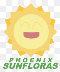 Nba X Pokemon Team Logos - Brasileirão 2015 Emoji,Lebron Emoticon Miami