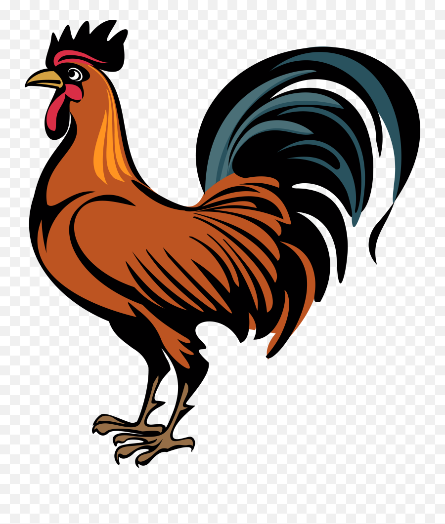 Rhode Island Red Rooster Stock Photography Illustration - Cock Clipart Png Emoji,Chinese Rooster Emojis