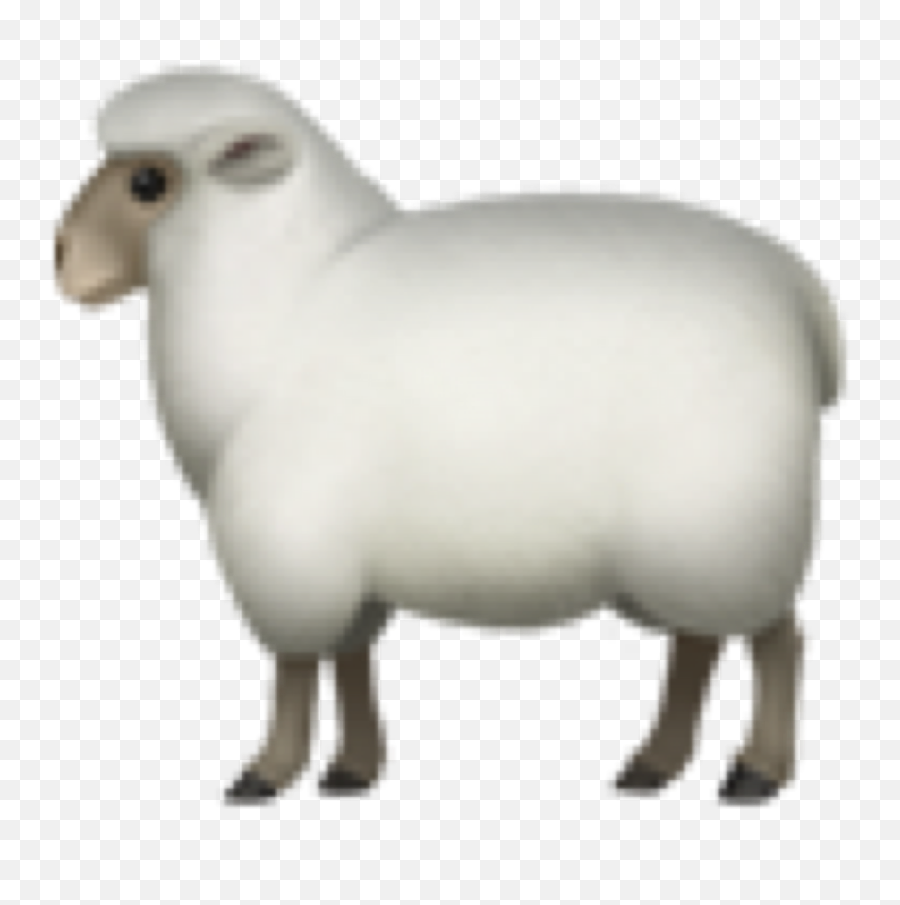 sticker-by-olennaa-emoji-get-a-sheep-emoji-free-emoji-png-images