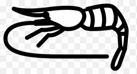 Shrimp Free Icon Of Selman Icons Emoji,Facebook Emoticon Shrimp Sushi
