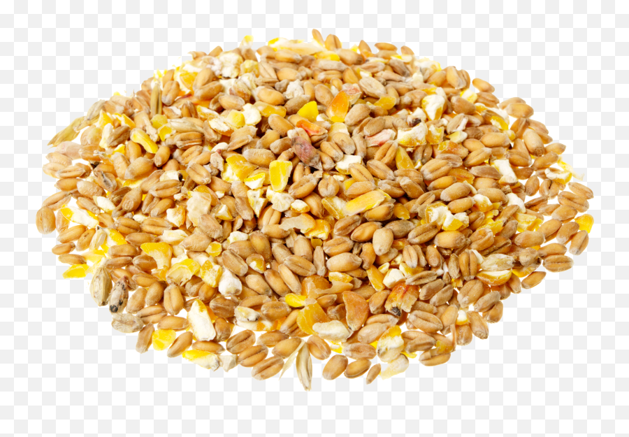 Grain Transparent Background Png Svg Clip Art For Web Emoji,Grain Of Rice Emoji