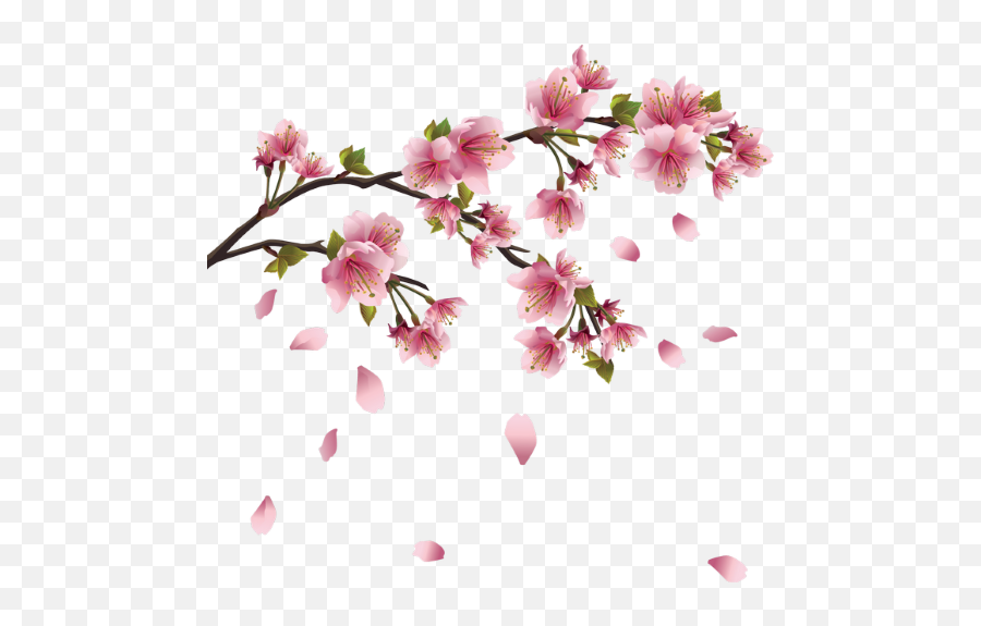 Sakura Japan Flower Flowers Sticker - Frise Fleurs Png Emoji,Cherry Flower Japan Emoji