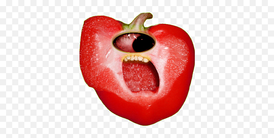 Top Black Pepper Stickers For Android U0026 Ios Gfycat - Gifs De Transgenicos Emoji,Bell Pepper Emoji