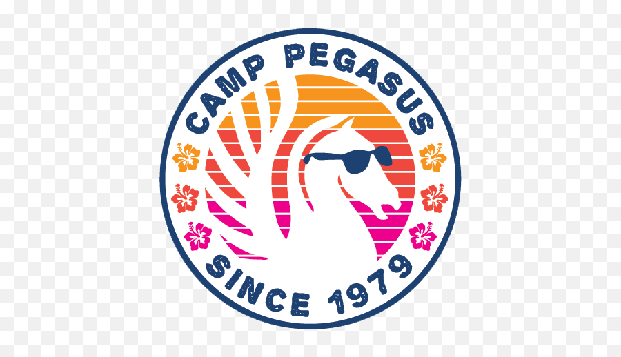 The Pegasus School I Community I Summer Programs I Camp Pegasus - Language Emoji,Beach Themed Emotion Board