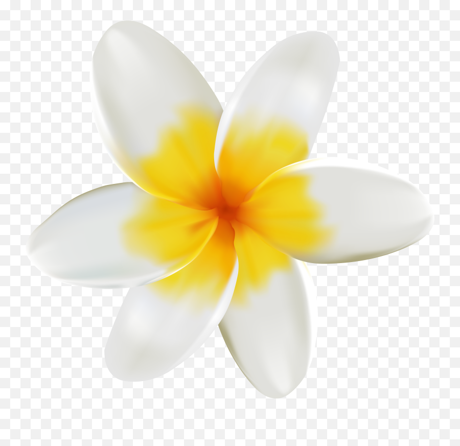 Collection Of Free - White And Yellow Flower Png Clipart Emoji,Yellow Flower Emoji Png