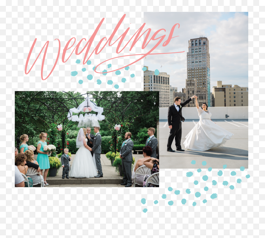 Michigan Wedding And Portrait Photographer Emoji,