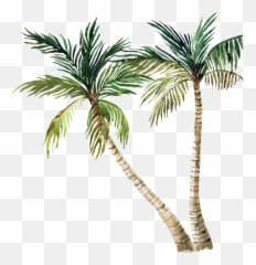 Download Hd Cartoon Palm Trees - Palm Tree With A White Cartoon Palm Tree White Background Emoji,Palm Tree Emoji