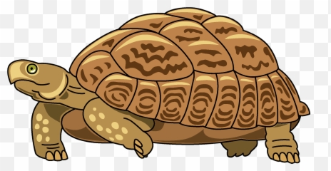 Turtle Clipart Free Download Transparent Png Creazilla - Turtle Clipart Emoji,Turtle Shell Emoji